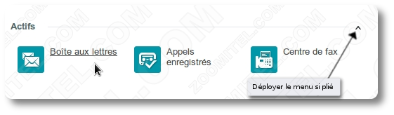 Section Actifs du cloud-panel de Zoomitel