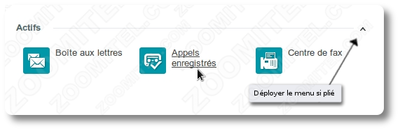 Section Actifs du cloud-panel de Zoomitel