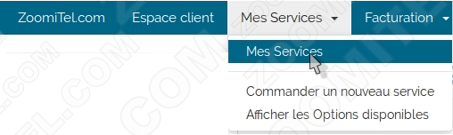 cloud-panel zoomitel mes services