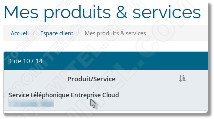 CloudPanel-Service-Entreprise-Service-telephonique-Entreprise-Cloud-selection-tableau.png